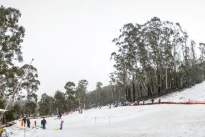 Corin snowfield